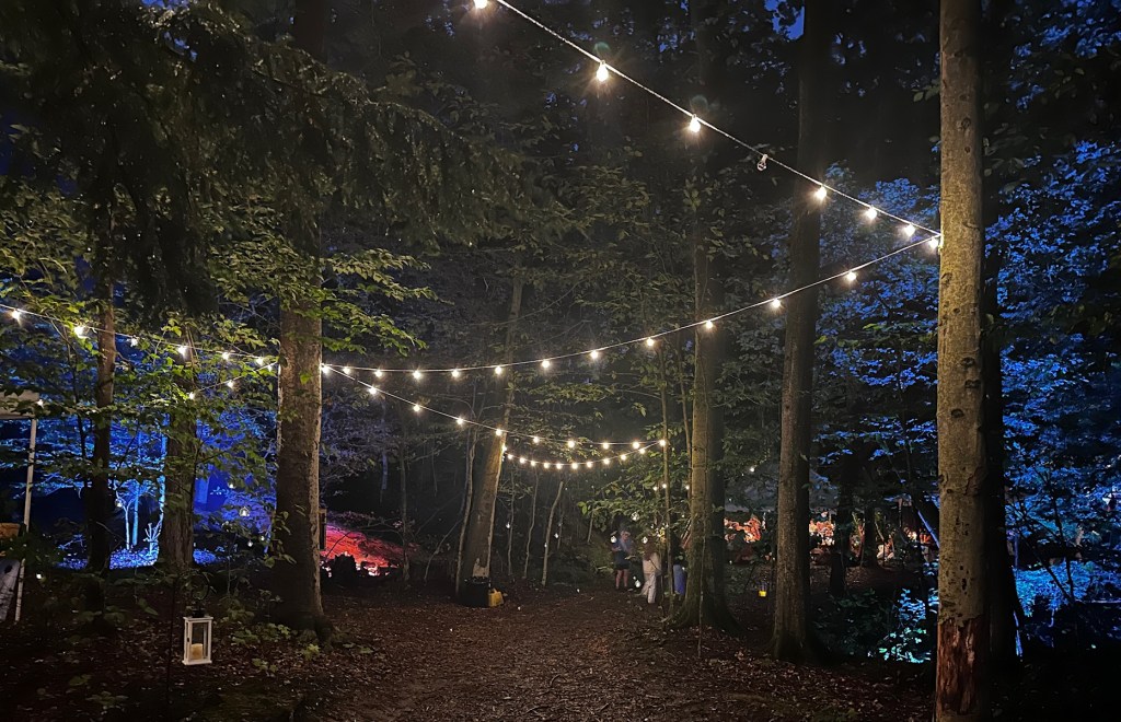 Dark forest lit up with different type of lighting.